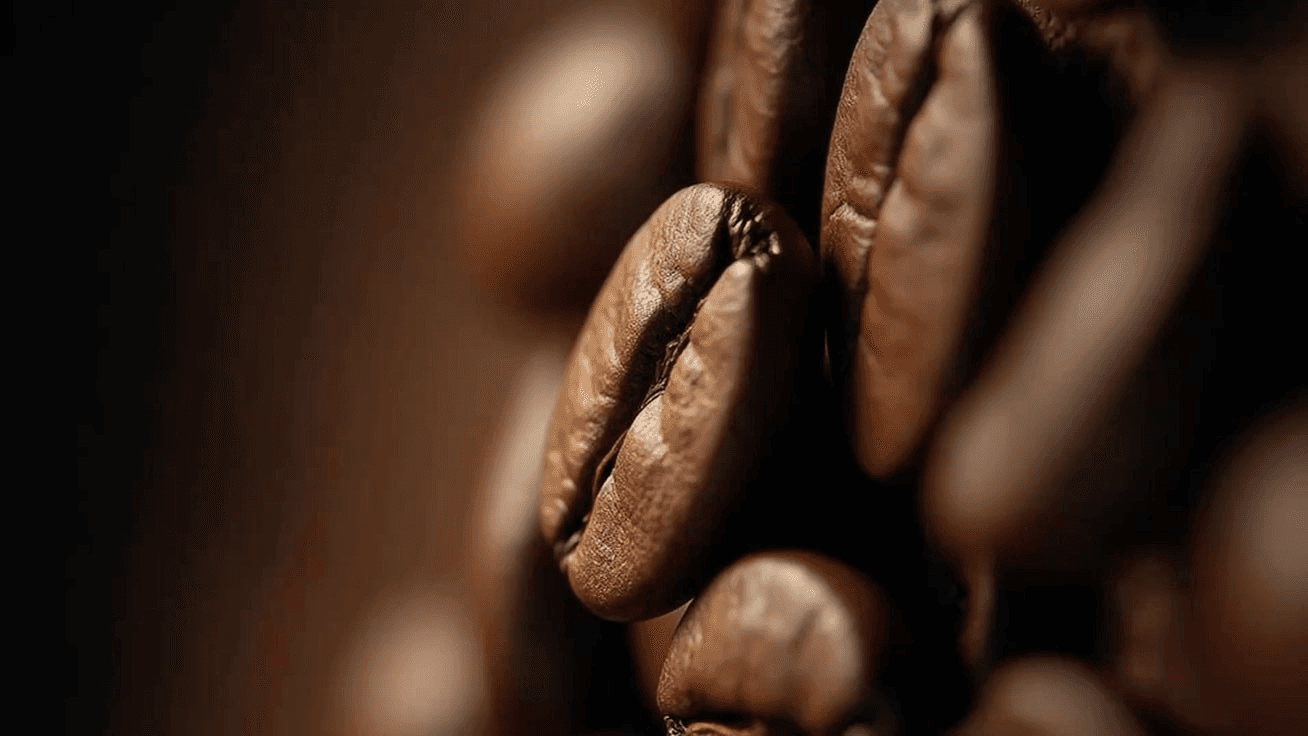 Coffee beans background
